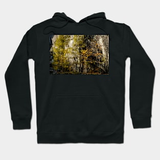 Hodge Close Light Hoodie